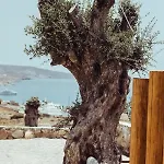 M-vibes Mykonos