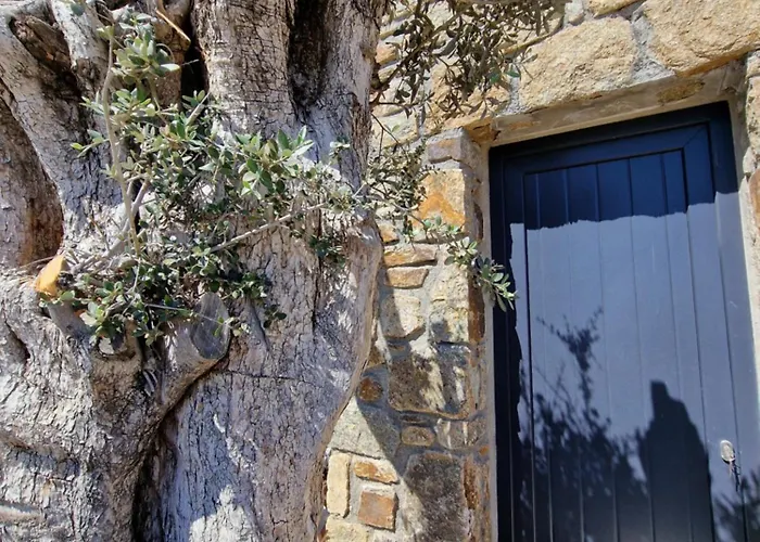 M-vibes Mykonos Apart Otel Kalafatis