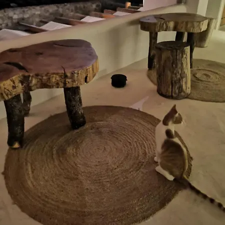 M-vibes Mykonos Ξενοδοχείο με διαμερίσματα