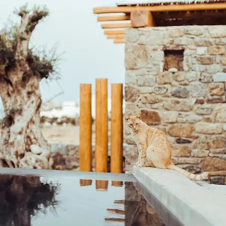 Lejlighedshotel M-vibes Mykonos